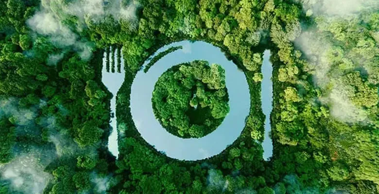 Sustentabilidade no Setor de Alimentação